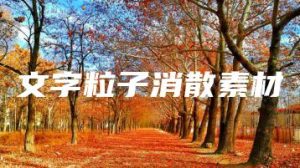 文字粒子消散素材 | ae插件合集