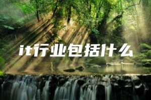 it行业包括什么 | ae插件合集