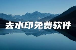 去水印免费软件 | ae插件合集