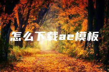 怎么下载ae模板 | ae插件合集
