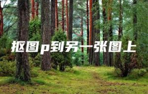 抠图p到另一张图上 | ae插件合集