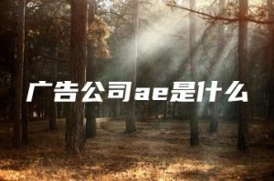 广告公司ae是什么 | ae插件合集