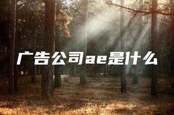 广告公司ae是什么 | ae插件合集