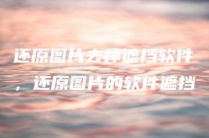 还原图片去掉遮挡软件，还原图片的软件遮挡 | ae插件合集