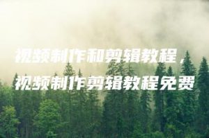 视频制作和剪辑教程，视频制作剪辑教程免费 | ae插件合集