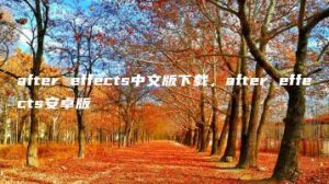 after effects中文版下载，after effects安卓版 | ae插件合集