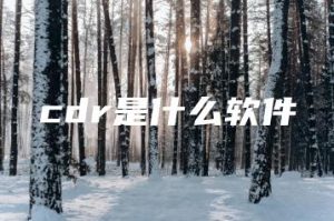 cdr是什么软件 | ae插件合集