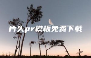 片头pr模板免费下载 | ae插件合集