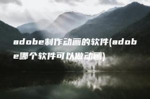 adobe制作动画的软件(adobe哪个软件可以做动画) | ae插件合集