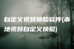 自定义视频换脸软件(本地视频自定义换脸) | ae插件合集