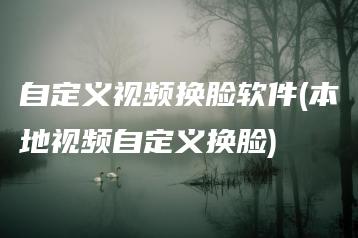 自定义视频换脸软件(本地视频自定义换脸) | ae插件合集