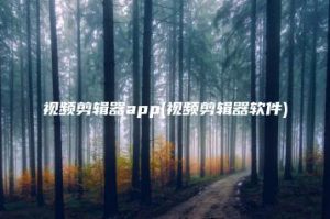 视频剪辑器app(视频剪辑器软件) | ae插件合集