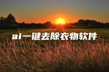 ai一键去除衣物软件 | ae插件合集