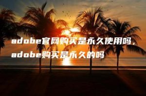 adobe官网购买是永久使用吗，adobe购买是永久的吗 | ae插件合集