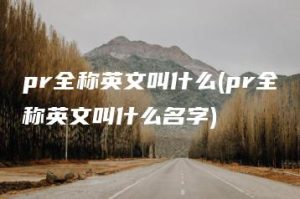 pr全称英文叫什么(pr全称英文叫什么名字) | ae插件合集