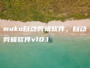 muko自动剪辑软件，自动剪辑软件v10.1 | ae插件合集