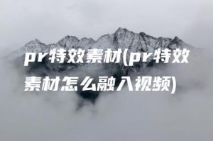 pr特效素材(pr特效素材怎么融入视频) | ae插件合集