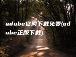 adobe官网下载免费(adobe正版下载) | ae插件合集