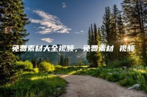 免费素材大全视频，免费素材 视频 | ae插件合集