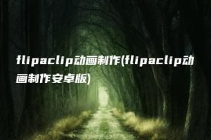 flipaclip动画制作(flipaclip动画制作安卓版) | ae插件合集