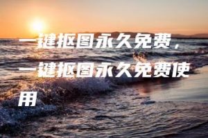 一键抠图永久免费，一键抠图永久免费使用 | ae插件合集