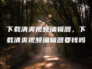 下载清爽视频编辑器，下载清爽视频编辑器要钱吗 | ae插件合集