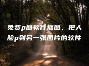 免费p图软件抠图，把人脸p到另一张图片的软件 | ae插件合集