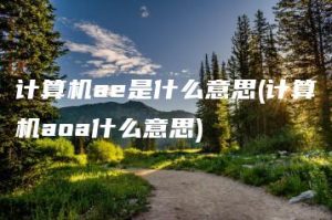 计算机ae是什么意思(计算机aoa什么意思) | ae插件合集