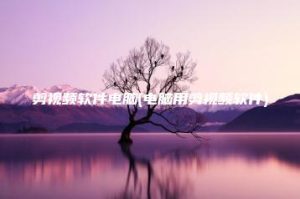 剪视频软件电脑(电脑用剪视频软件) | ae插件合集