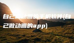 自己做动画的手机软件(自己做动画的app) | ae插件合集