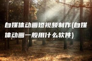 自媒体动画短视频制作(自媒体动画一般用什么软件) | ae插件合集