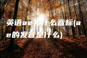 英语ae发什么音标(ae的发音是什么) | ae插件合集