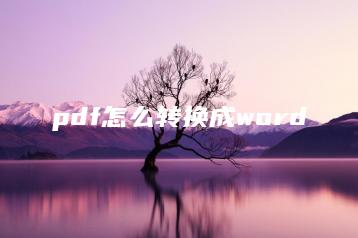 pdf怎么转换成word | ae插件合集