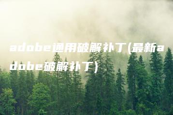 adobe通用破解补丁(最新adobe破解补丁) | ae插件合集