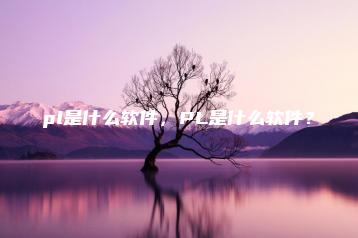 pl是什么软件，PL是什么软件？ | ae插件合集