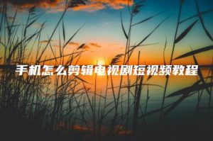 手机怎么剪辑电视剧短视频教程 | ae插件合集