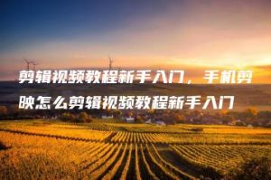 剪辑视频教程新手入门，手机剪映怎么剪辑视频教程新手入门 | ae插件合集