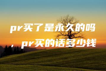 pr买了是永久的吗，pr买的话多少钱 | ae插件合集