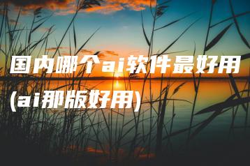 国内哪个ai软件最好用(ai那版好用) | ae插件合集