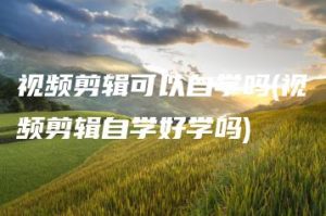 视频剪辑可以自学吗(视频剪辑自学好学吗) | ae插件合集
