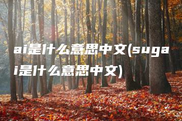 ai是什么意思中文(sugai是什么意思中文) | ae插件合集