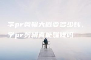 学pr剪辑大概要多少钱，学pr剪辑真能赚钱吗 | ae插件合集