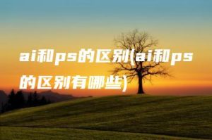 ai和ps的区别(ai和ps的区别有哪些) | ae插件合集
