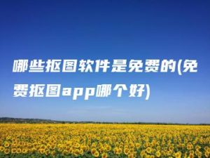 哪些抠图软件是免费的(免费抠图app哪个好) | ae插件合集