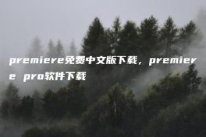 premiere免费中文版下载，premiere pro软件下载 | ae插件合集