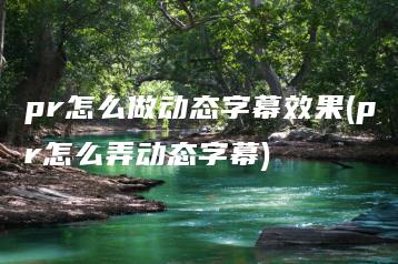 pr怎么做动态字幕效果(pr怎么弄动态字幕) | ae插件合集