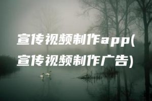 宣传视频制作app(宣传视频制作广告) | ae插件合集