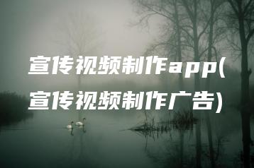 宣传视频制作app(宣传视频制作广告) | ae插件合集