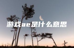 游戏ae是什么意思 | ae插件合集
