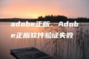 adobe正版，Adobe正版软件验证失败 | ae插件合集